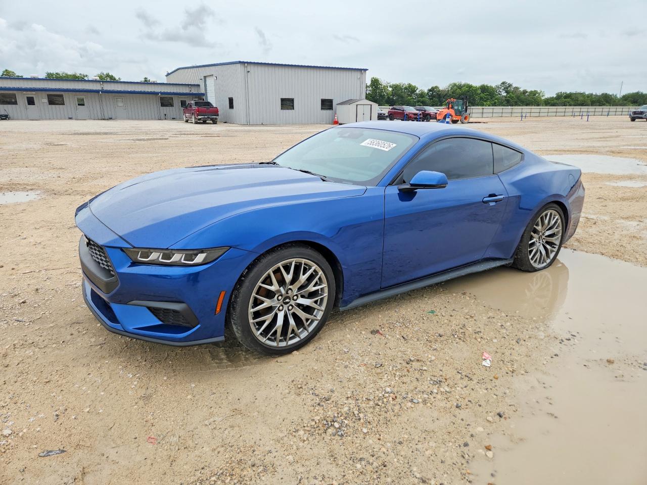 1FA6P8TH8R5114369 · 2024 FORD MUSTANG