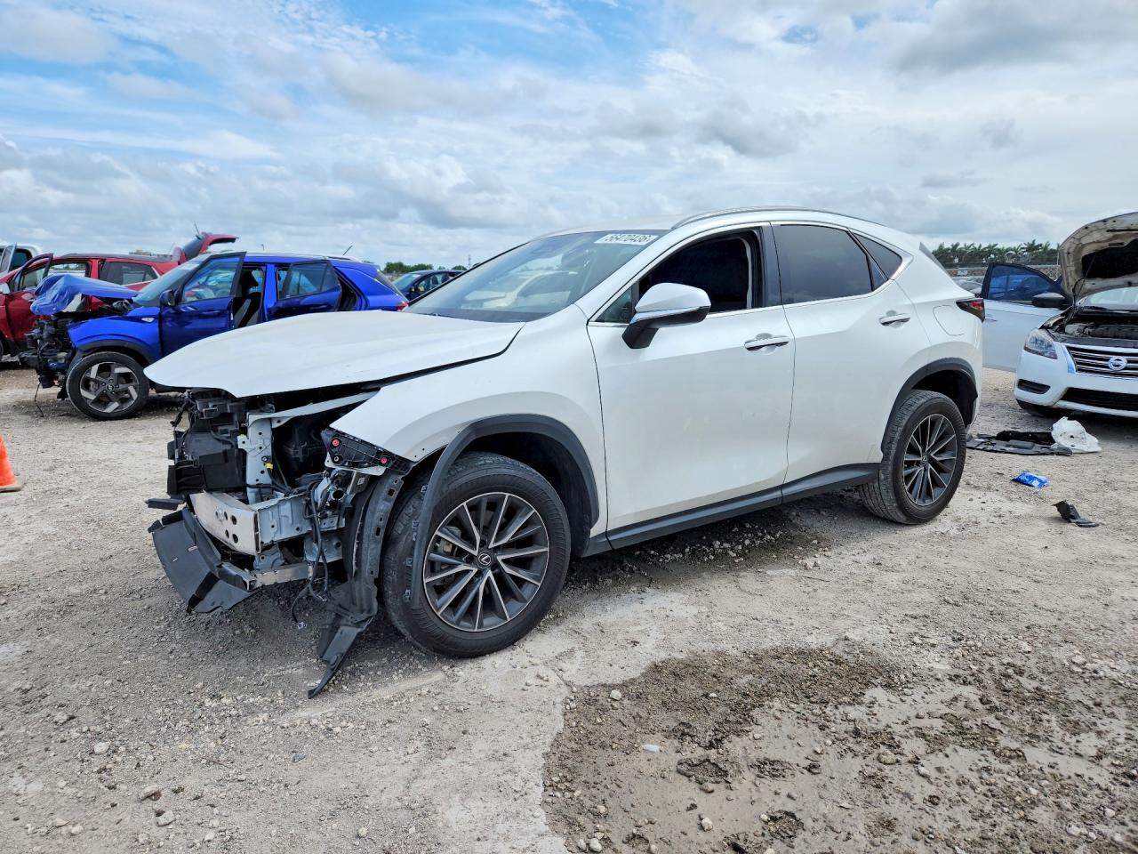 JTJADCAZ0P2006951 · 2023 LEXUS NX