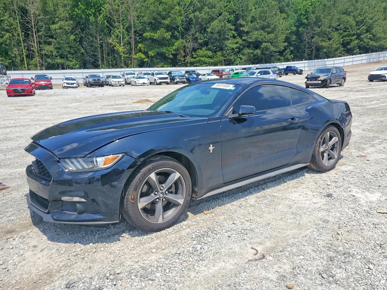 1FA6P8AM6F5310189 · 2015 FORD MUSTANG