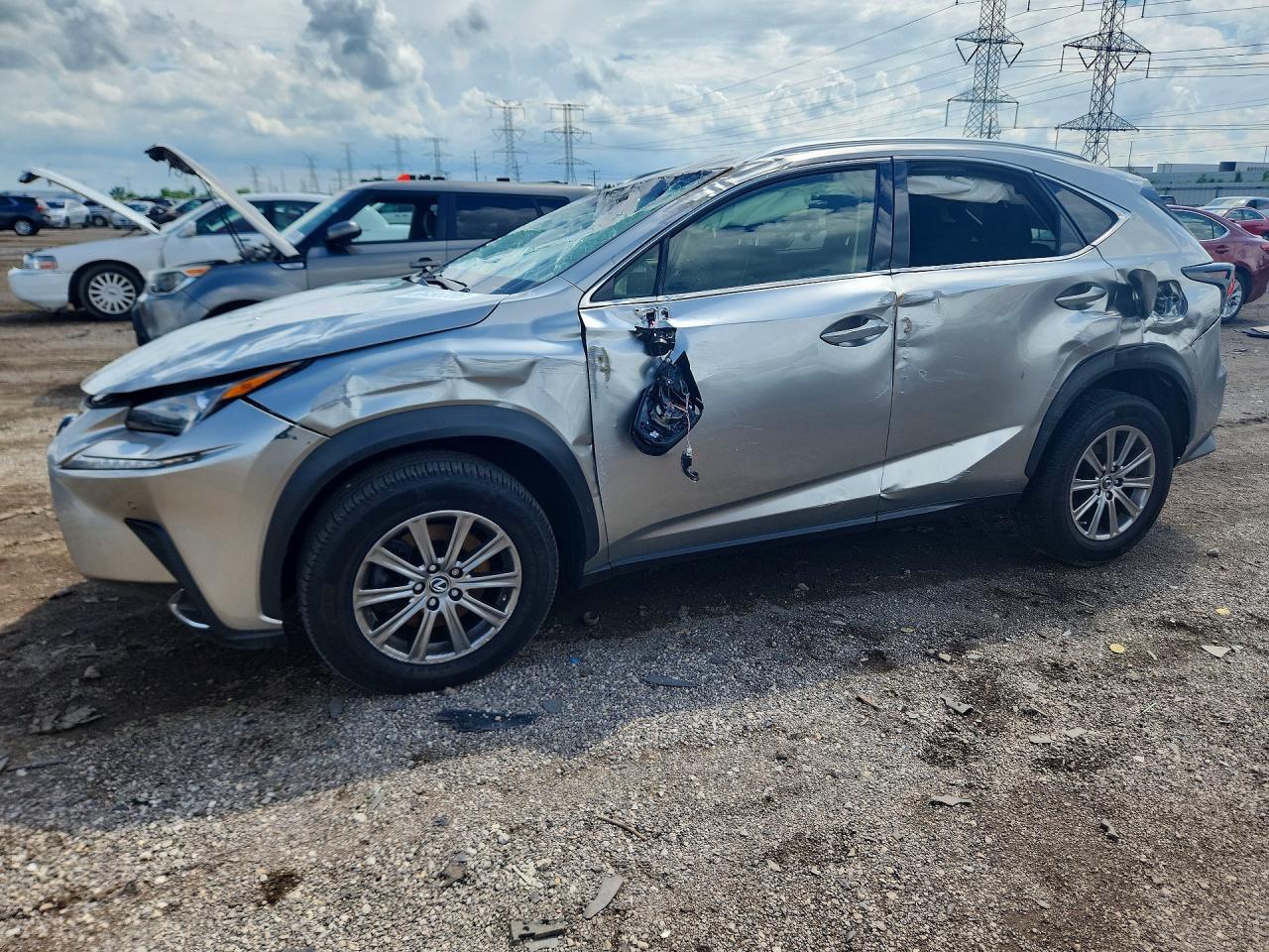 JTJBARBZ7K2196559 · 2019 LEXUS NX 300