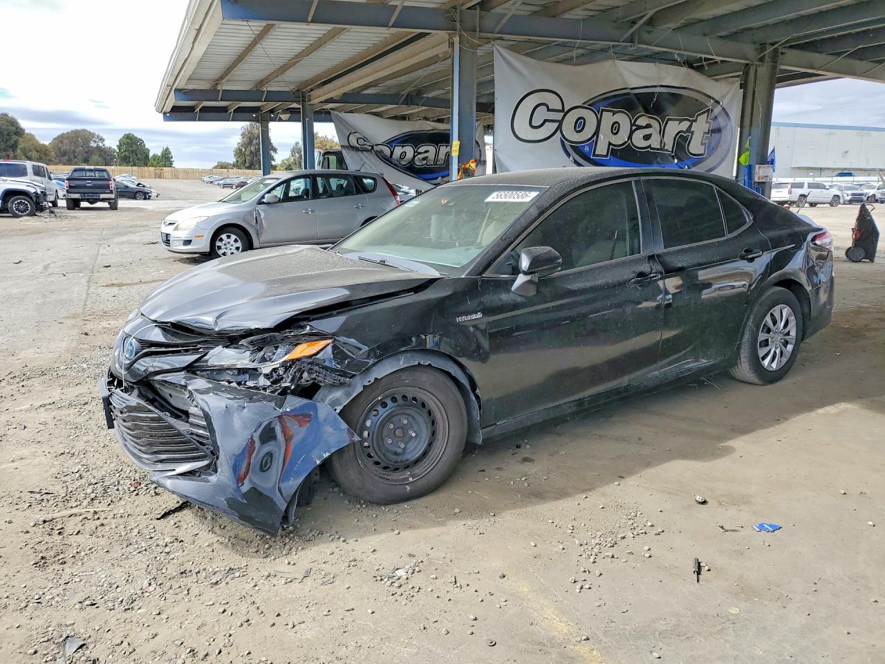 4T1B31HK0KU006657 · 2019 TOYOTA CAMRY