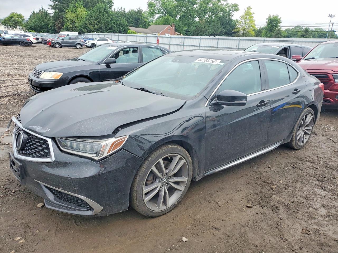 19UUB2F49KA006301 · 2019 ACURA TLX