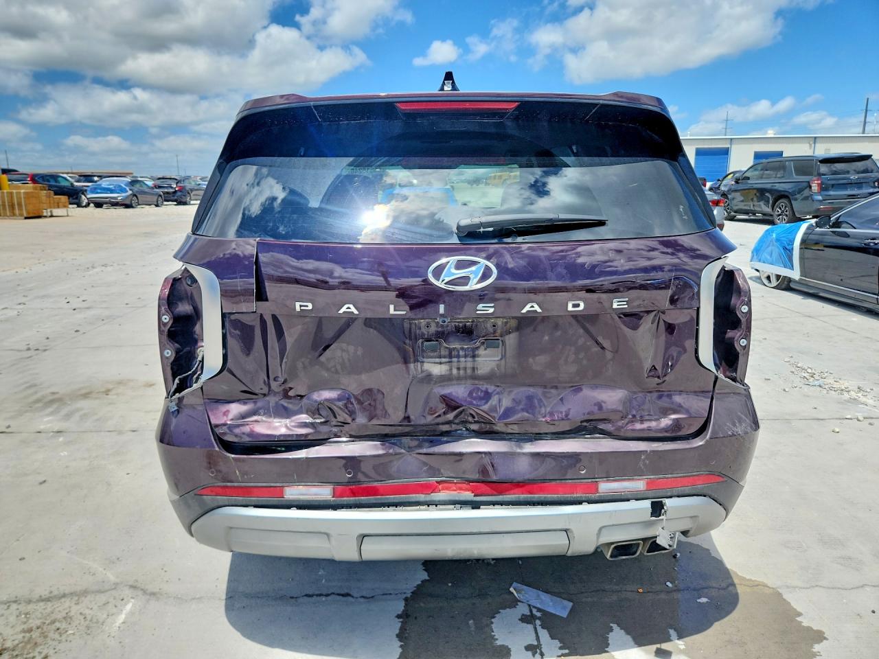 KM8R54GE6SU842446 · 2025 HYUNDAI PALISADE · 6/14