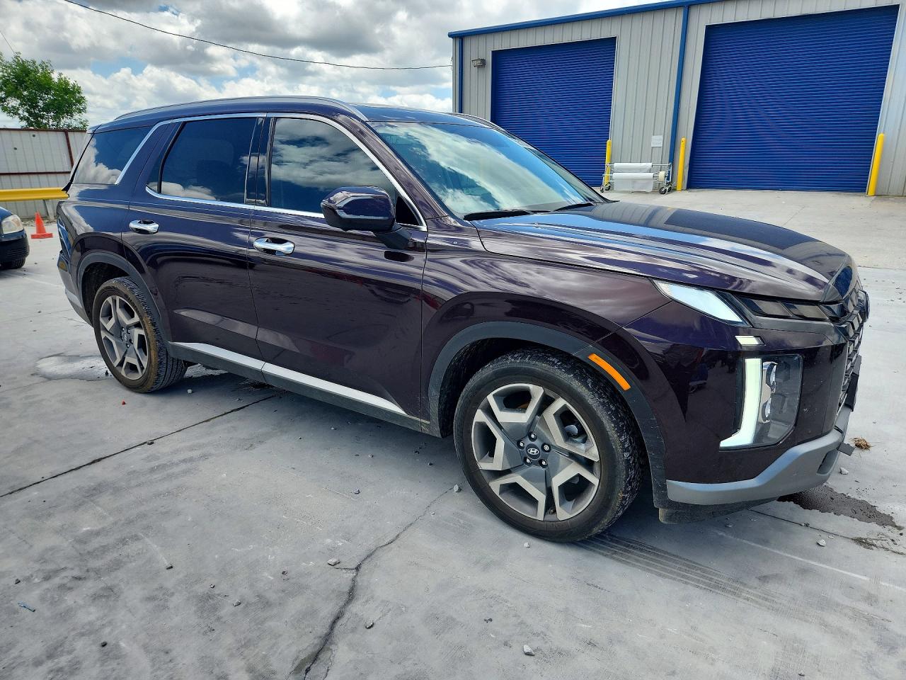 KM8R54GE6SU842446 · 2025 HYUNDAI PALISADE · 4/14