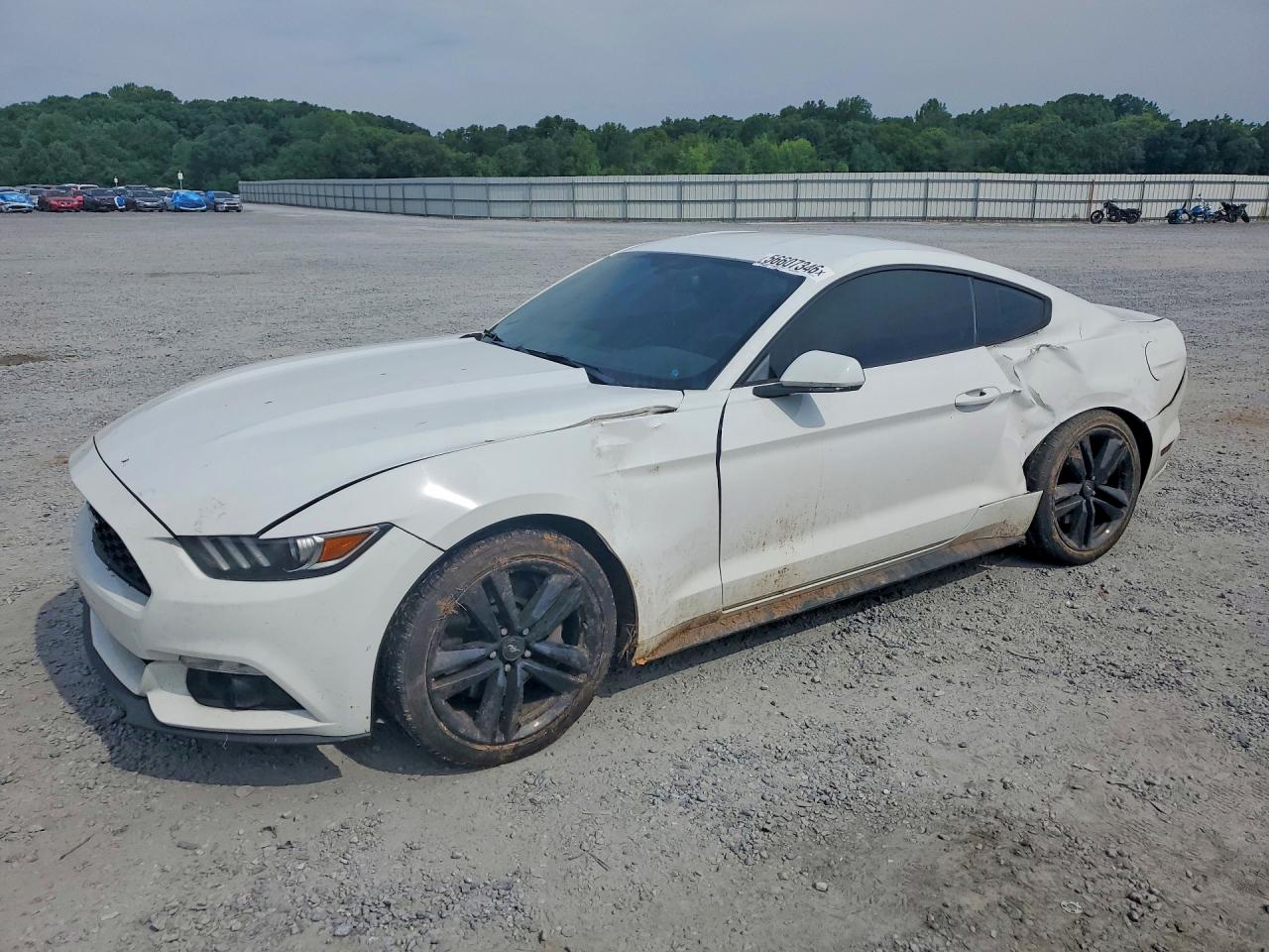 1FA6P8TH9F5341646 · 2015 FORD MUSTANG