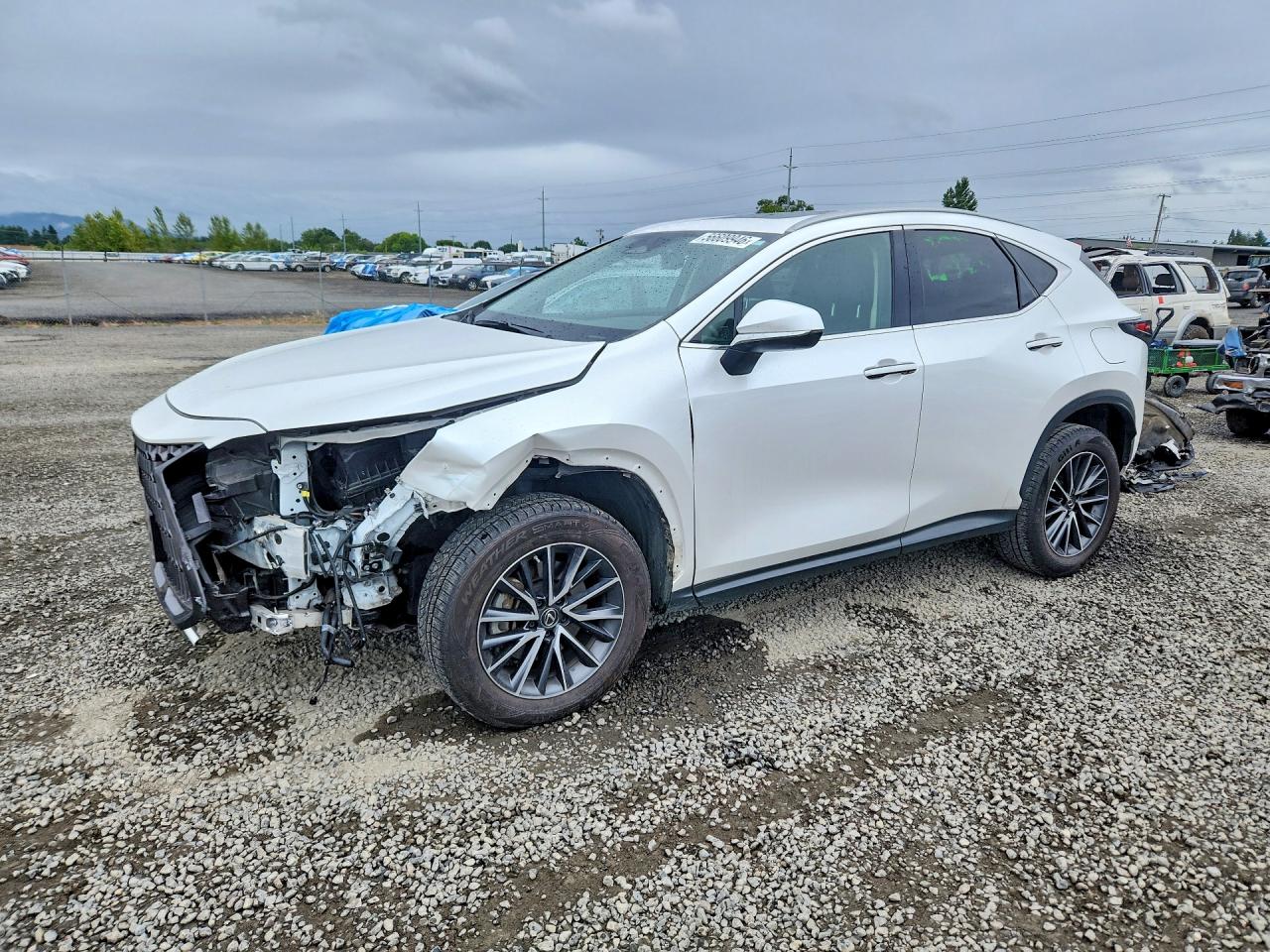 JTJAKCEZ6P5007133 · 2023 LEXUS NX