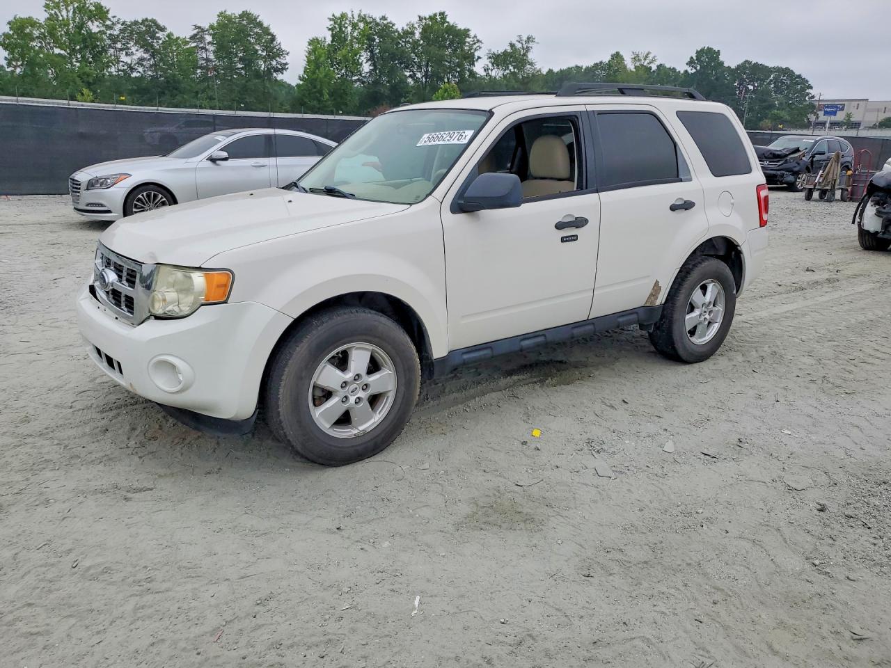 1FMCU037X9KA56955 · 2009 FORD ESCAPE