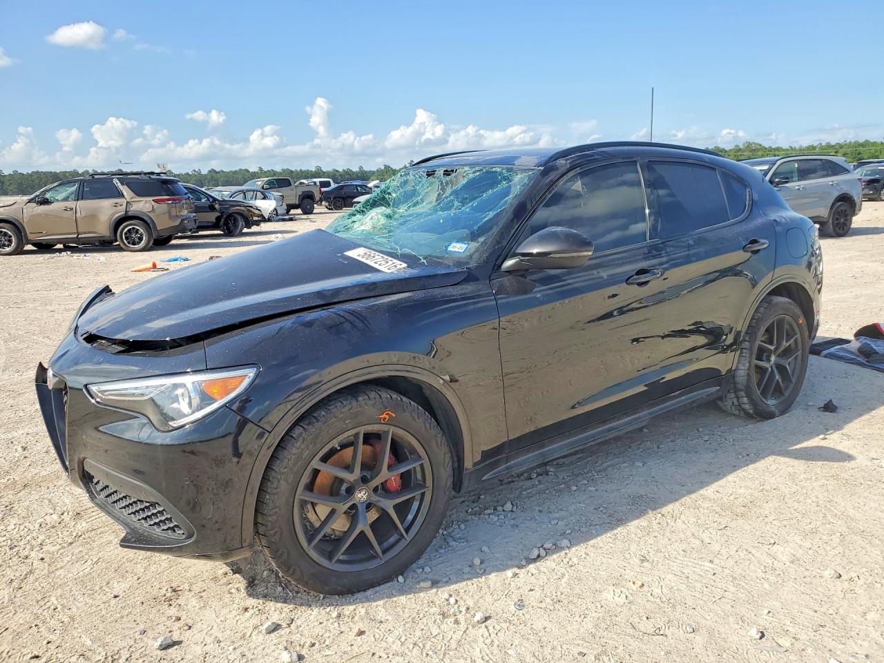 ZASPAKBN4M7D03142 · 2021 ALFA ROMEO STELVIO