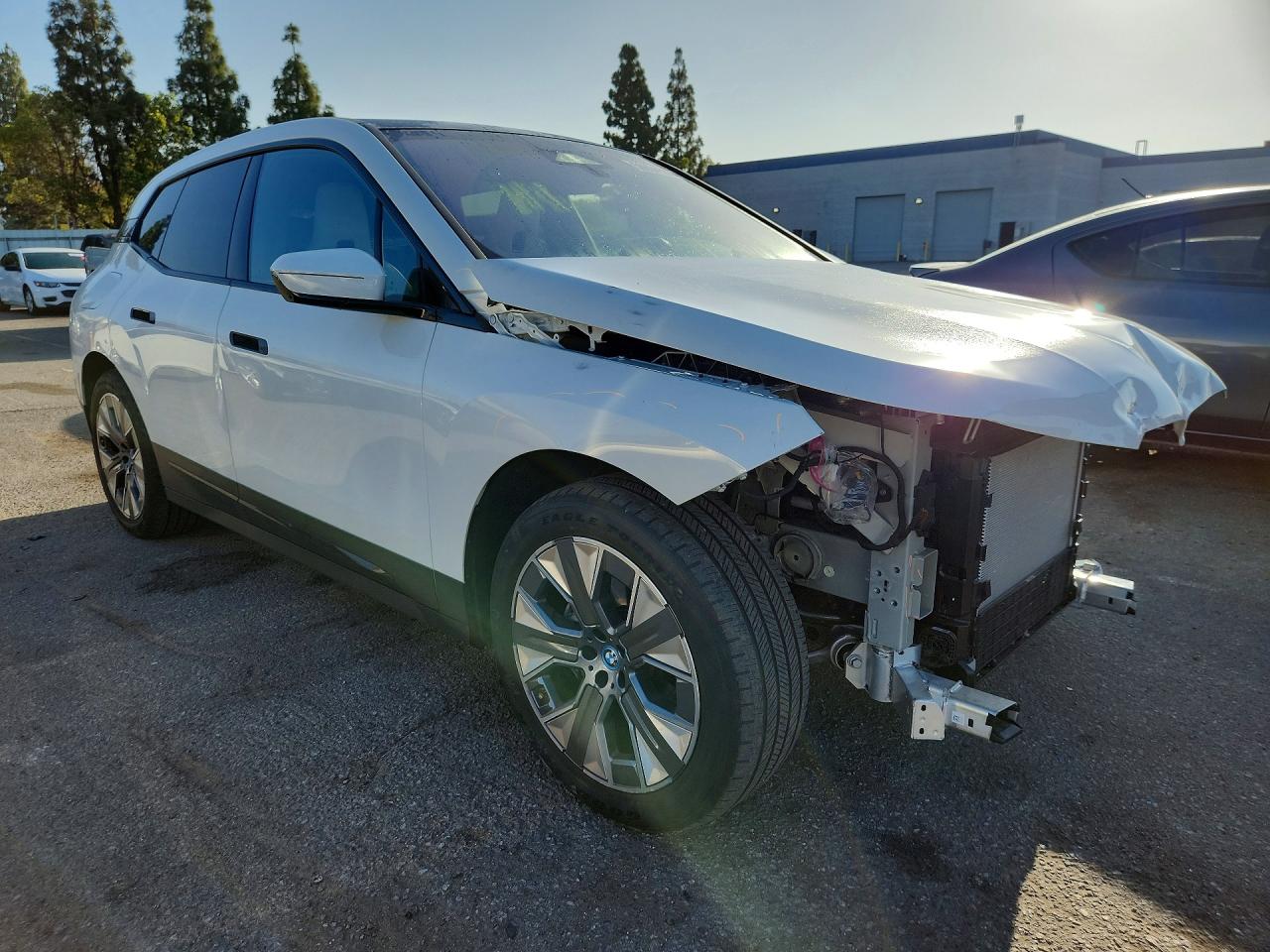 WB523CF00SCT40738 · 2025 BMW IX · 4/13