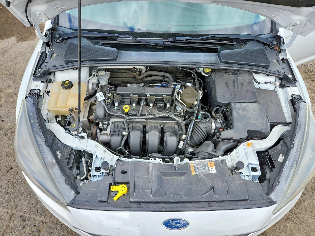 1FADP3F21GL209382 · 2016 FORD FOCUS · 11/12