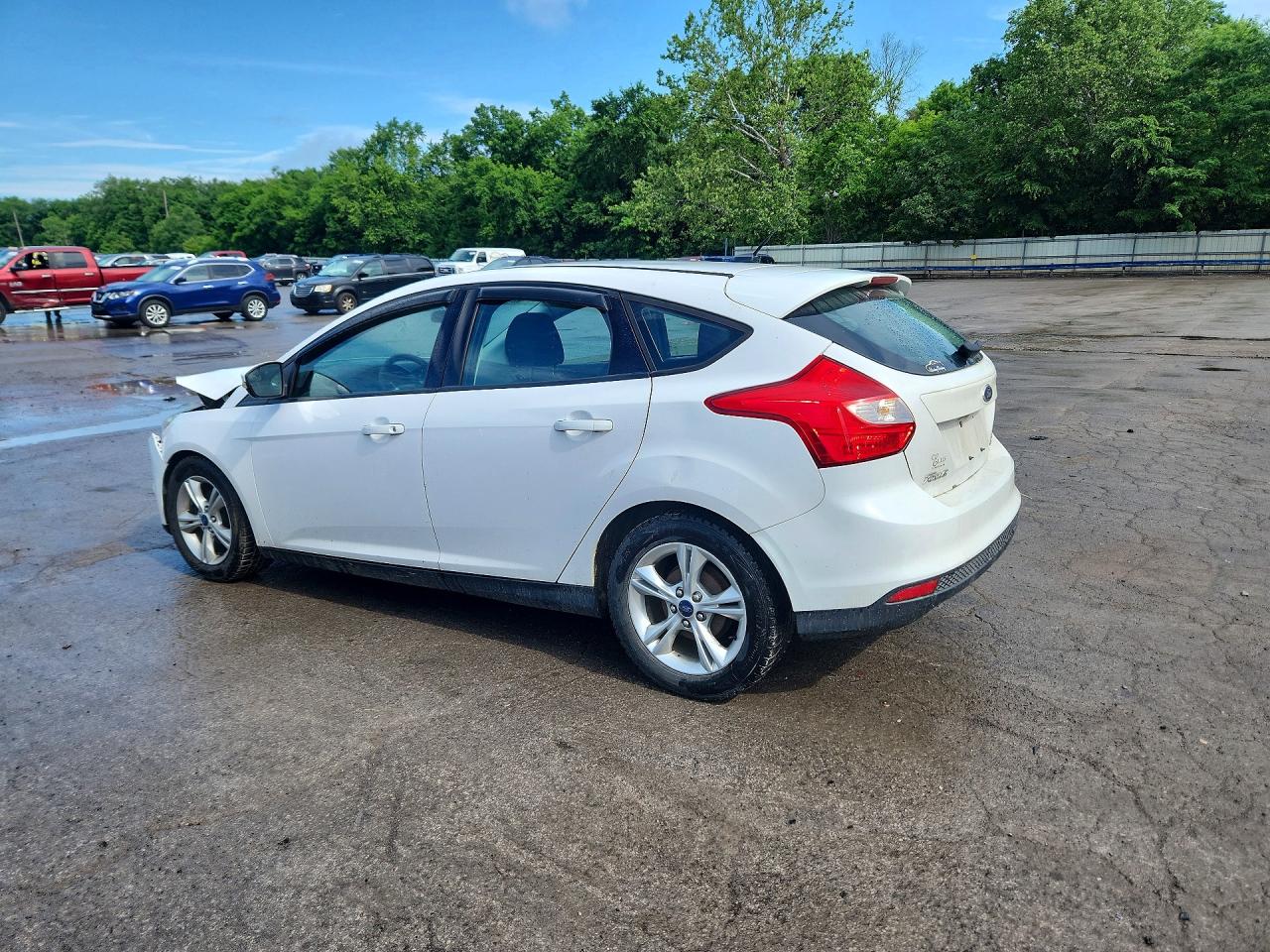 1FADP3K29EL283877 · 2014 FORD FOCUS · 2/12