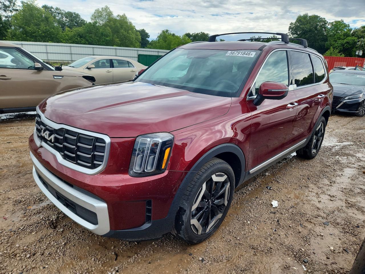 5XYP6DGC9RG463492 · 2024 KIA TELLURIDE