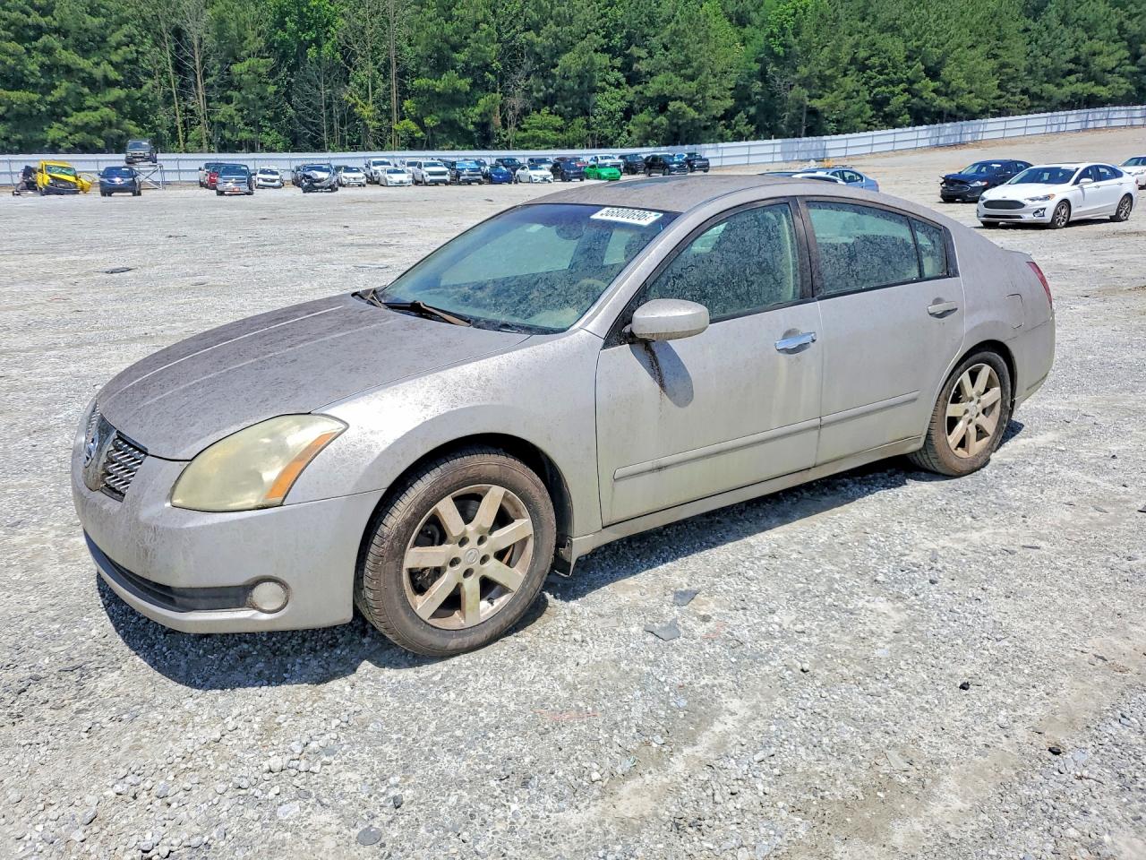 1N4BA41EX4C907016 · 2004 NISSAN MAXIMA