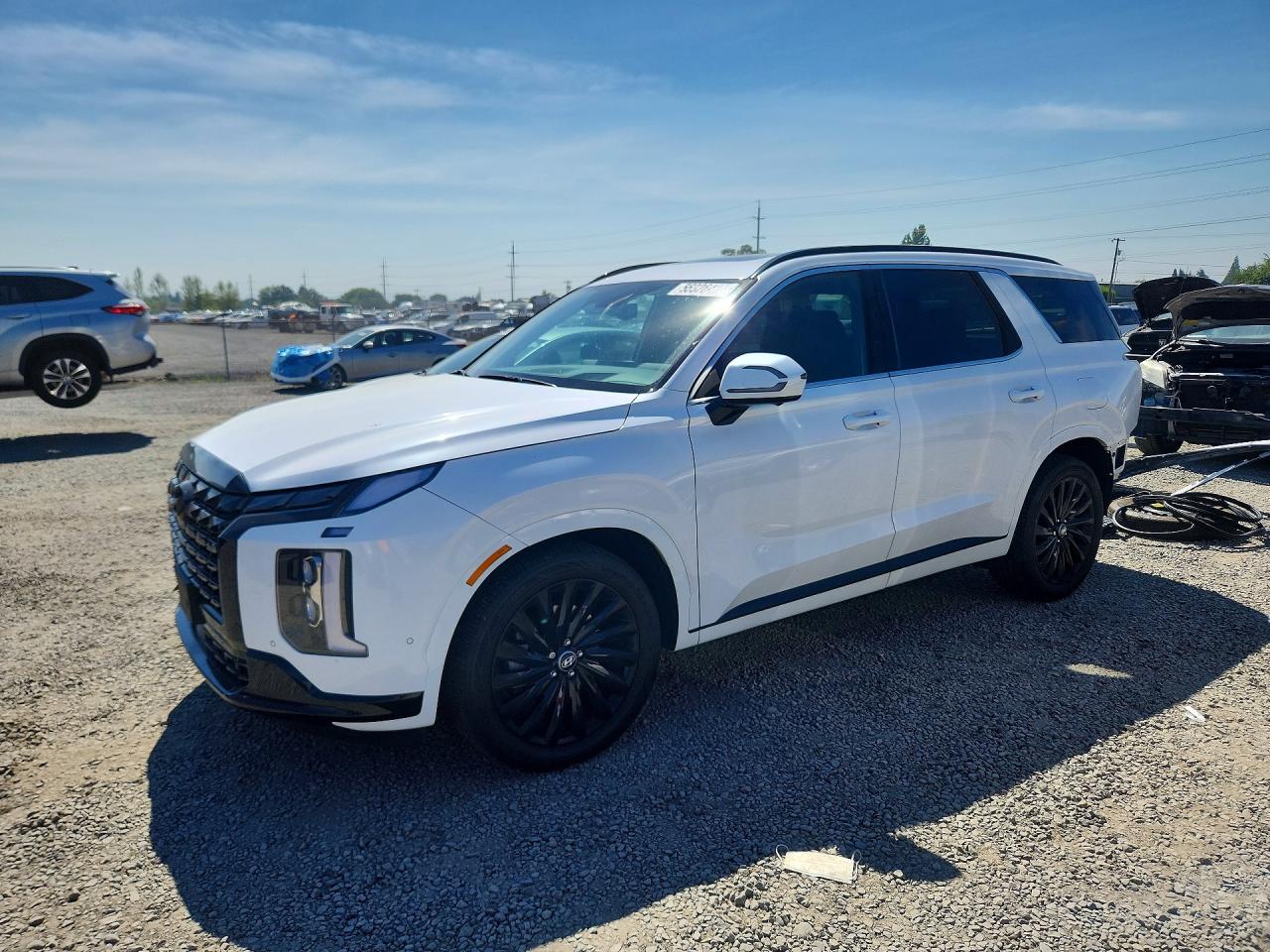 KM8R7DGE3SU894109 · 2025 HYUNDAI PALISADE