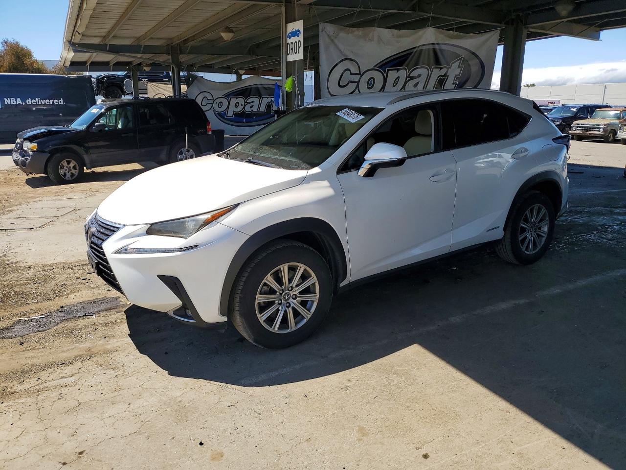 JTJBJRBZ0K2109391 · 2019 LEXUS NX