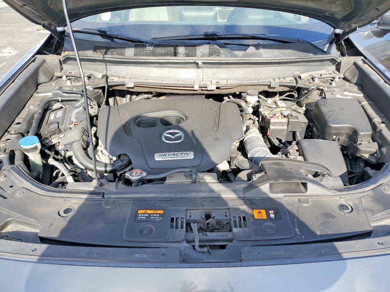 JM3TCBDY6K0311894 · 2019 MAZDA CX-9 · 12/13