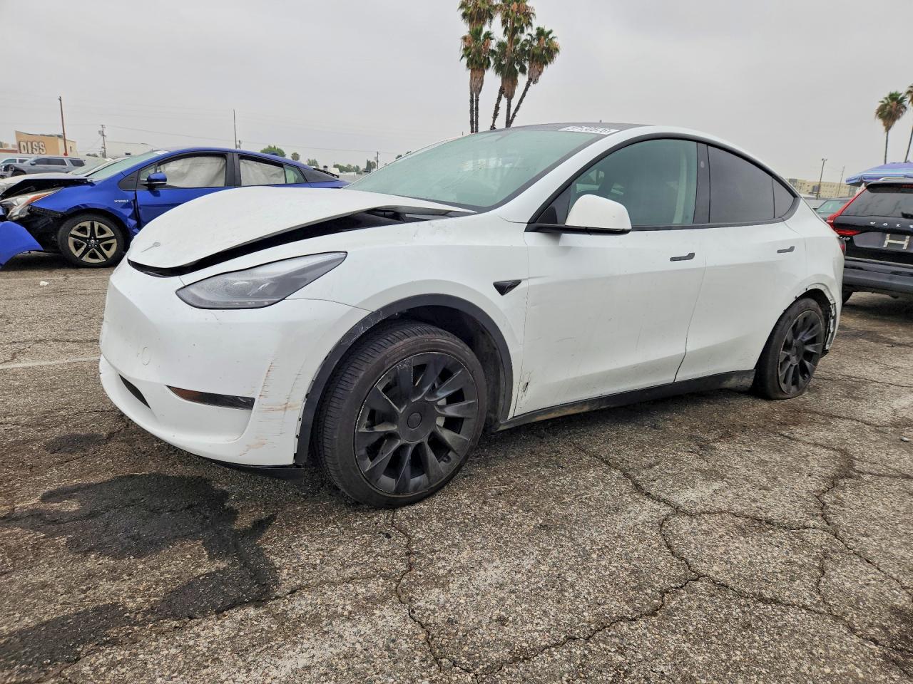 7SAYGDED5RF018531 · 2024 TESLA MODEL Y