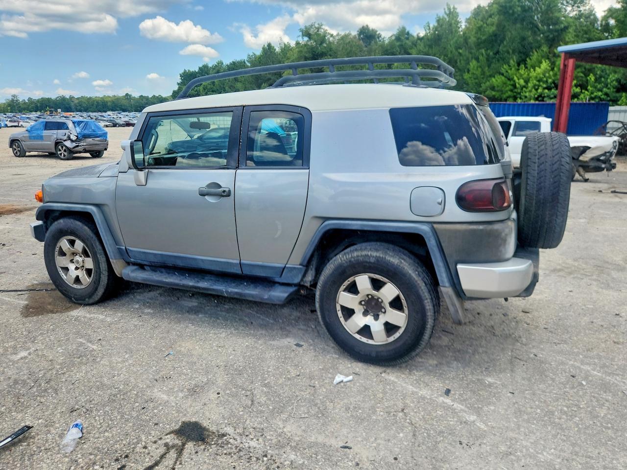 JTEZU4BF4AK008656 · 2010 TOYOTA FJ CRUISER · 2/13