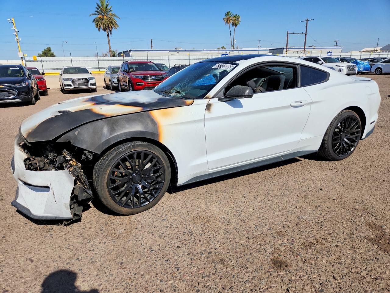 1FA6P8TH2M5156349 · 2021 FORD MUSTANG