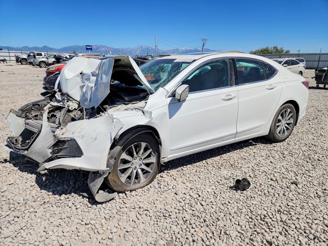 19UUB1F30FA006727 · 2015 ACURA TLX