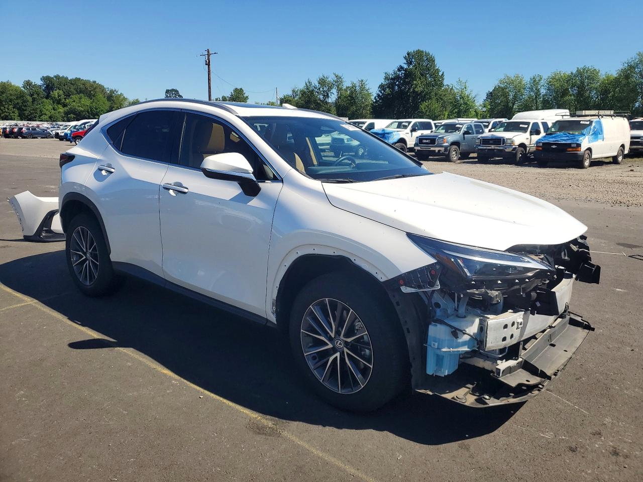 2T2GKCEZ6RC019930 · 2024 LEXUS NX 350H · 4/13