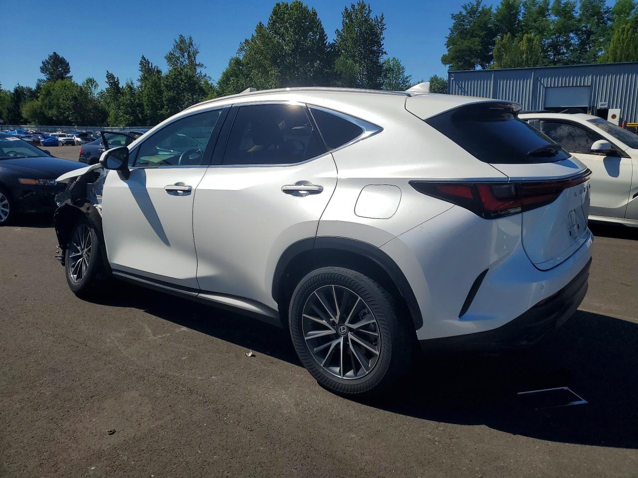 2T2GKCEZ6RC019930 · 2024 LEXUS NX 350H · 2/13