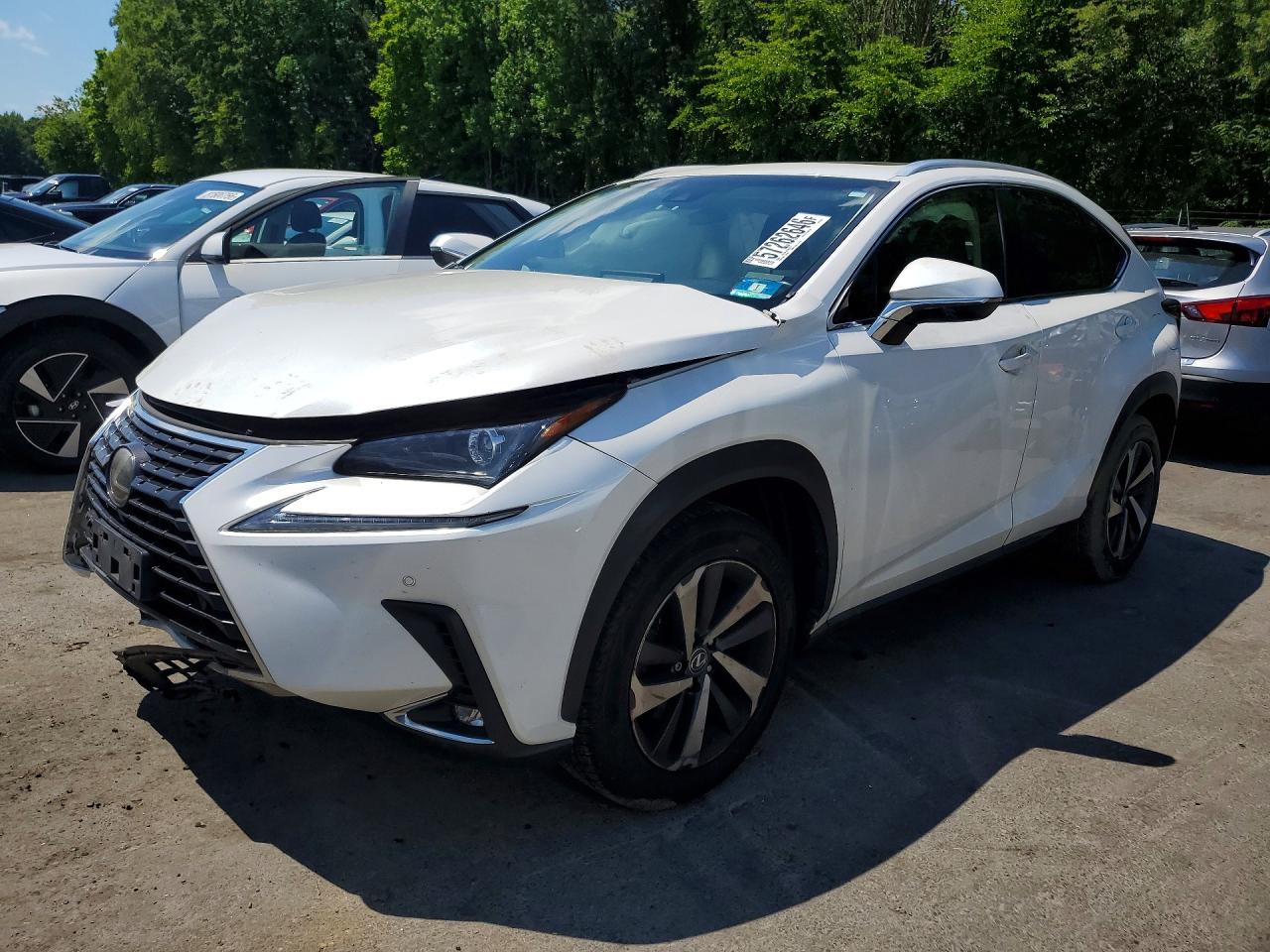 JTJBARBZ8J2160216 · 2018 LEXUS NX 300