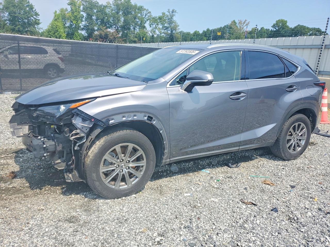 JTJDARBZ4M2184350 · 2021 LEXUS NX 300