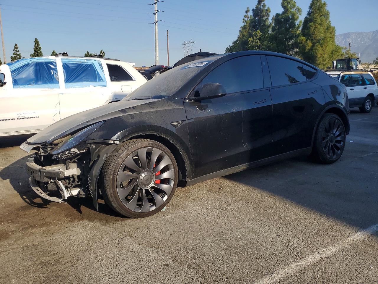 7SAYGDEF7RF058515 · 2024 TESLA MODEL Y