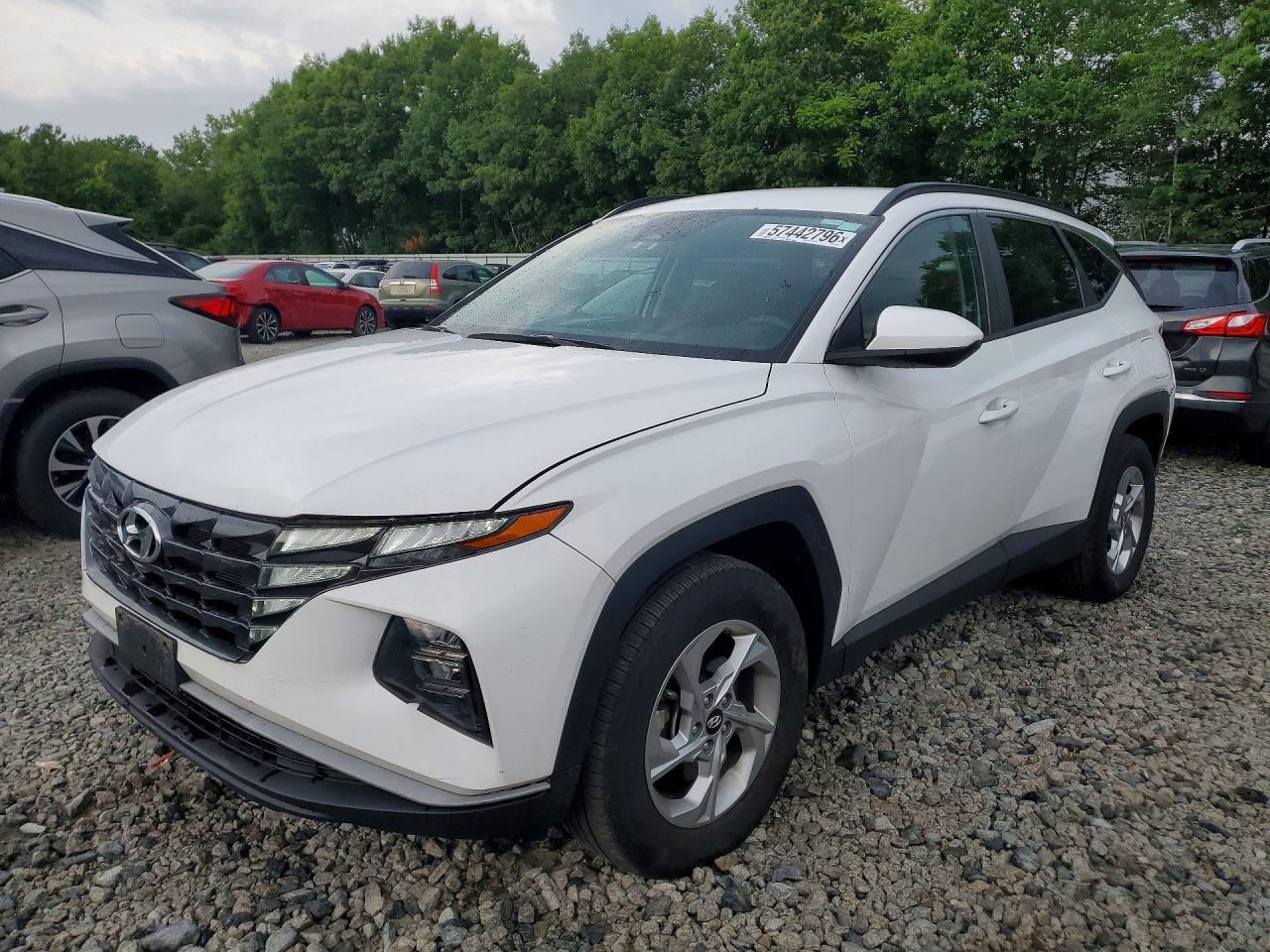 5NMJBCDE7RH416422 · 2024 HYUNDAI TUCSON