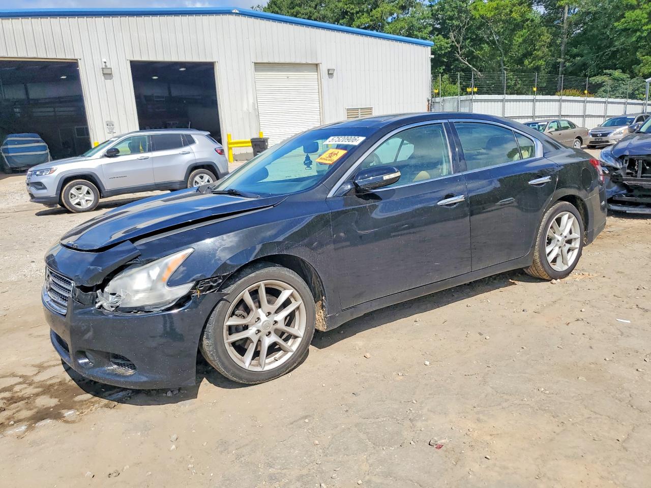 1N4AA51E69C847681 · 2009 NISSAN MAXIMA