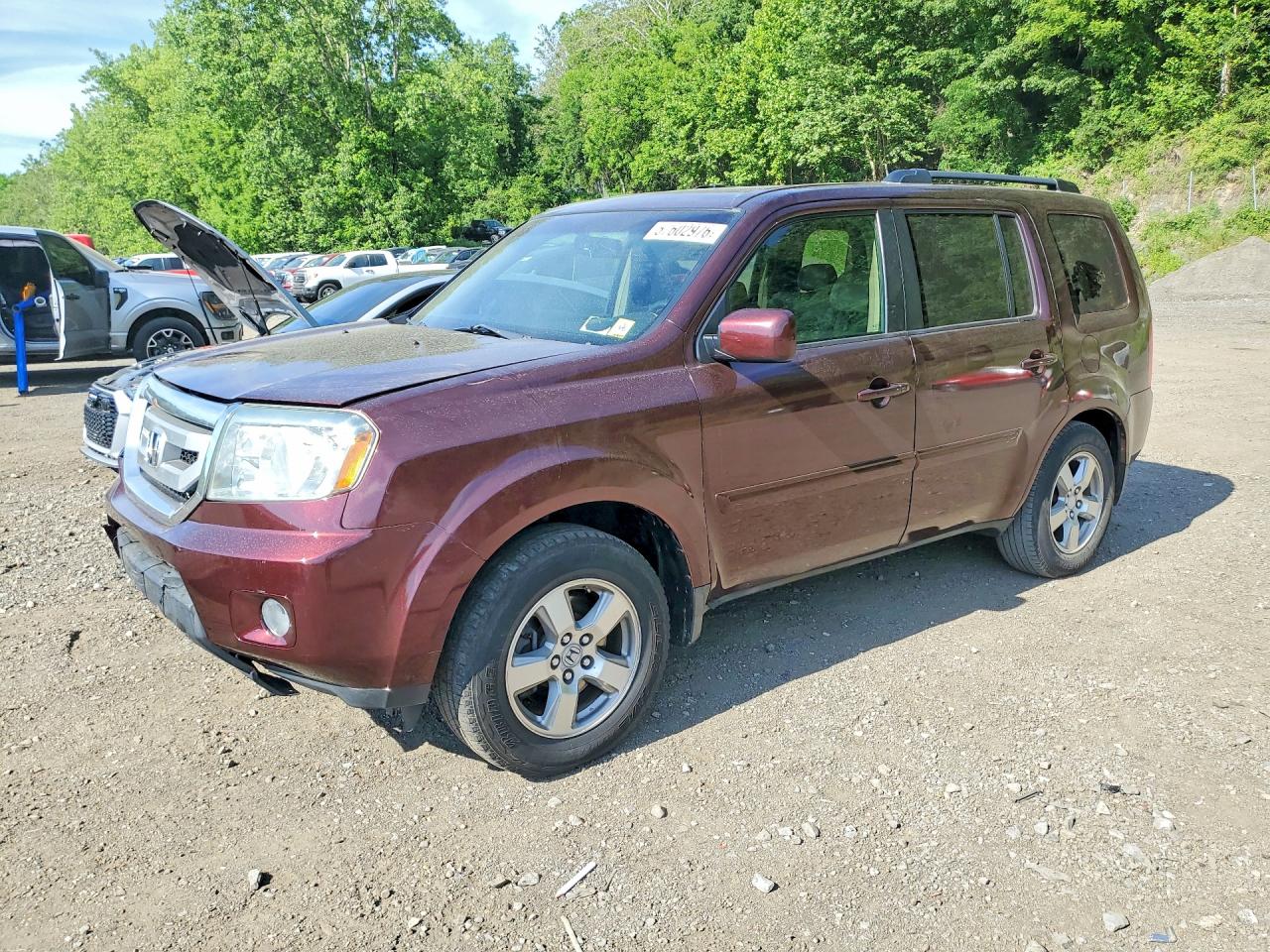 5FNYF485X9B029285 · 2009 HONDA PILOT