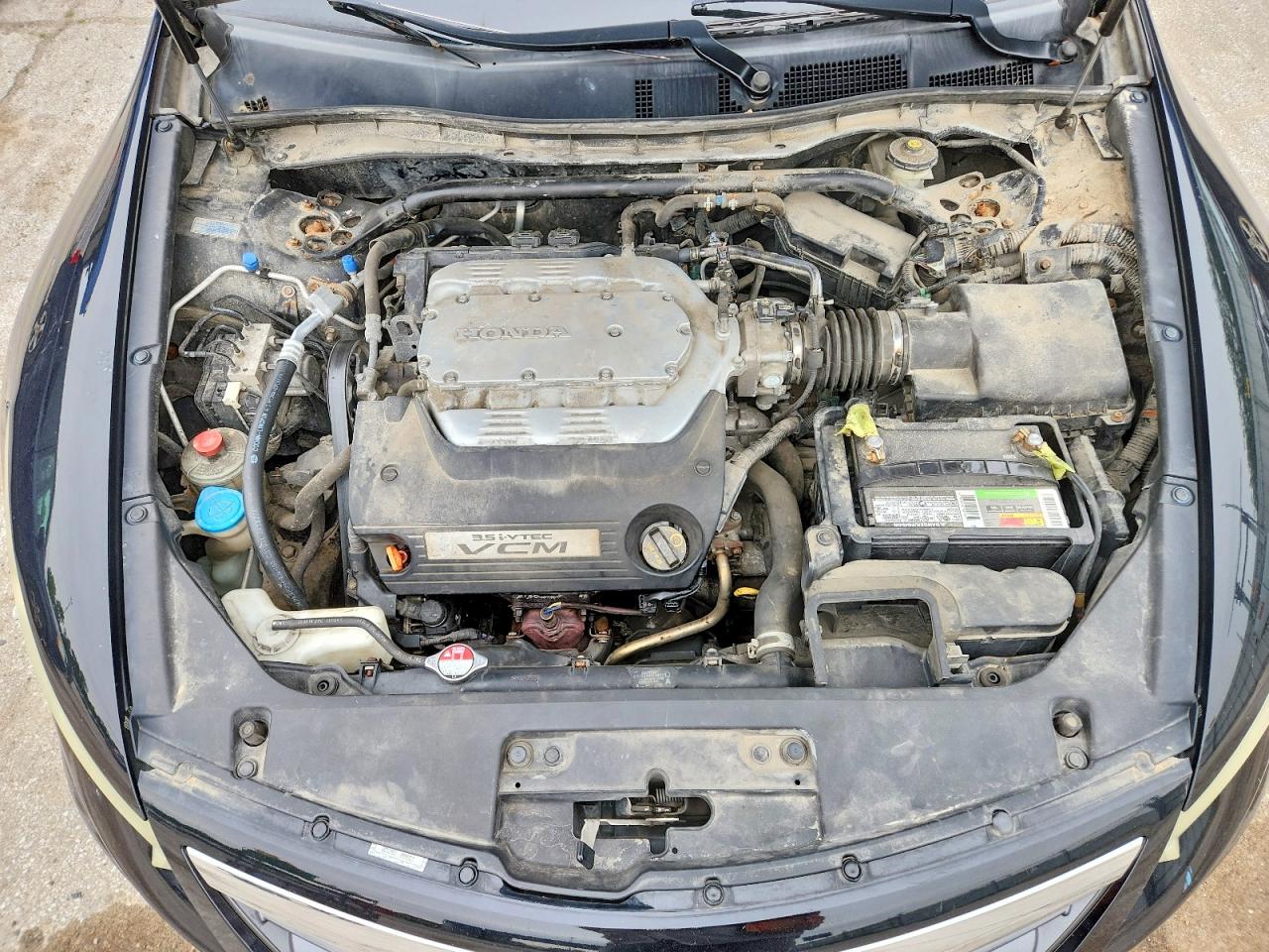 1HGCS2B82BA005236 · 2011 HONDA ACCORD · 11/12