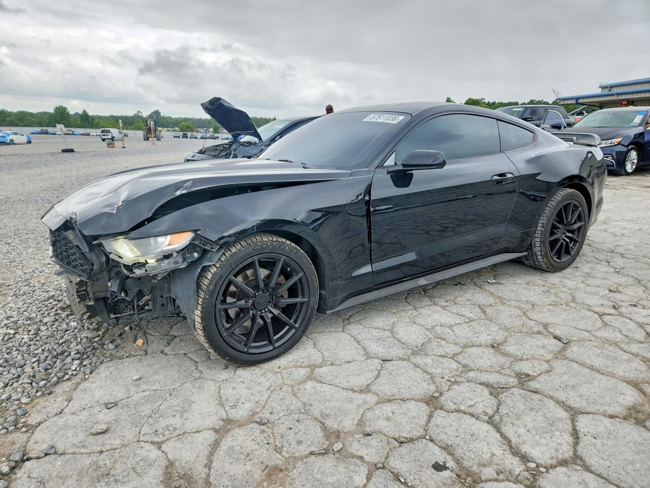 1FA6P8TH4F5407925 · 2015 FORD MUSTANG