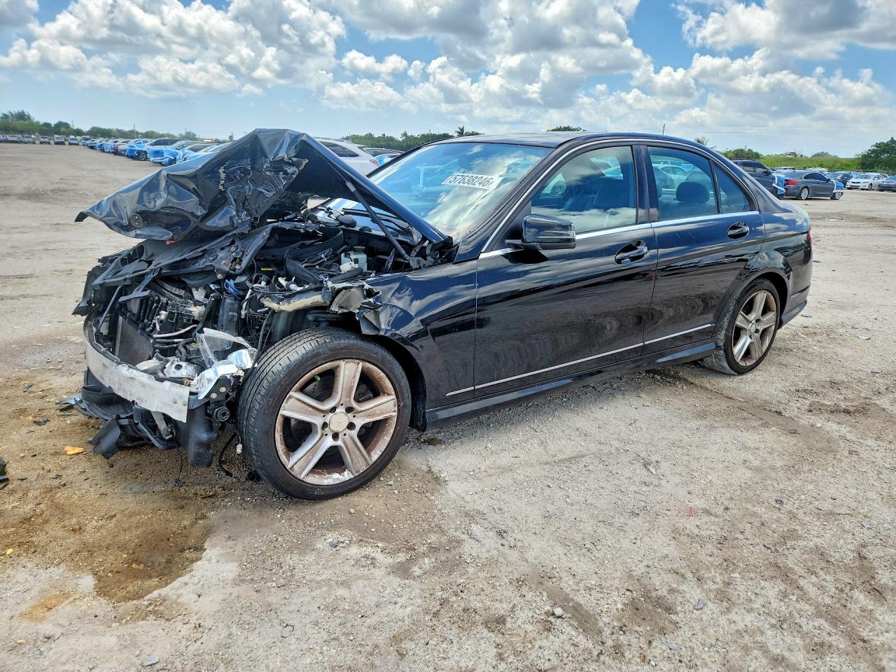 WDDGF8BB2AR105782 · 2010 MERCEDES-BENZ C