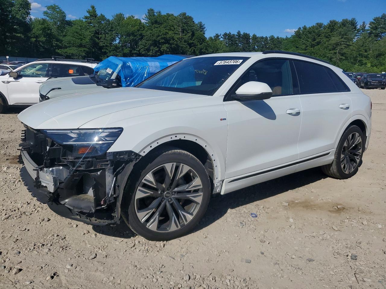 2025 AUDI Q8