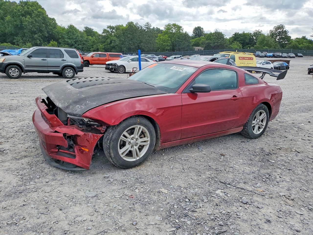1ZVBP8AMXE5233105 · 2014 FORD MUSTANG