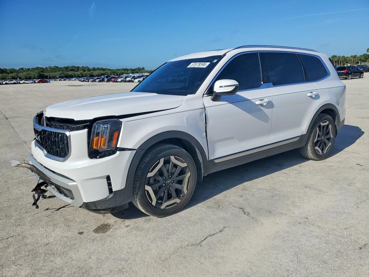 5XYP34GC4RG534381 · 2024 KIA TELLURIDE