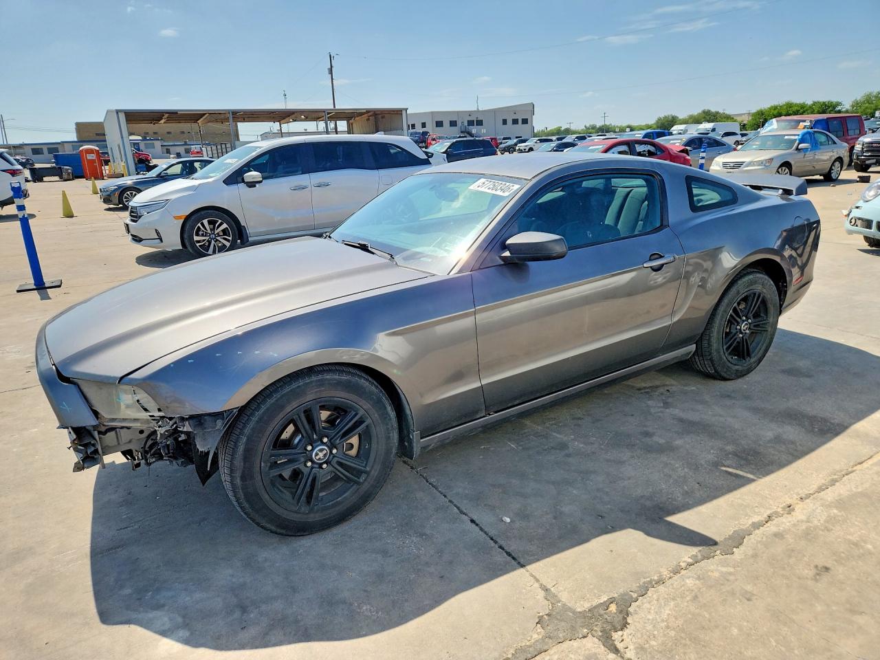 1ZVBP8AM7E5328981 · 2014 FORD MUSTANG