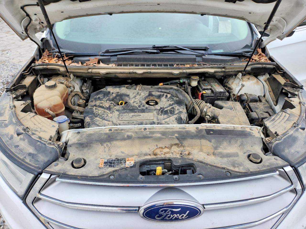 2FMPK4J94JBB64201 · 2018 FORD EDGE · 12/13