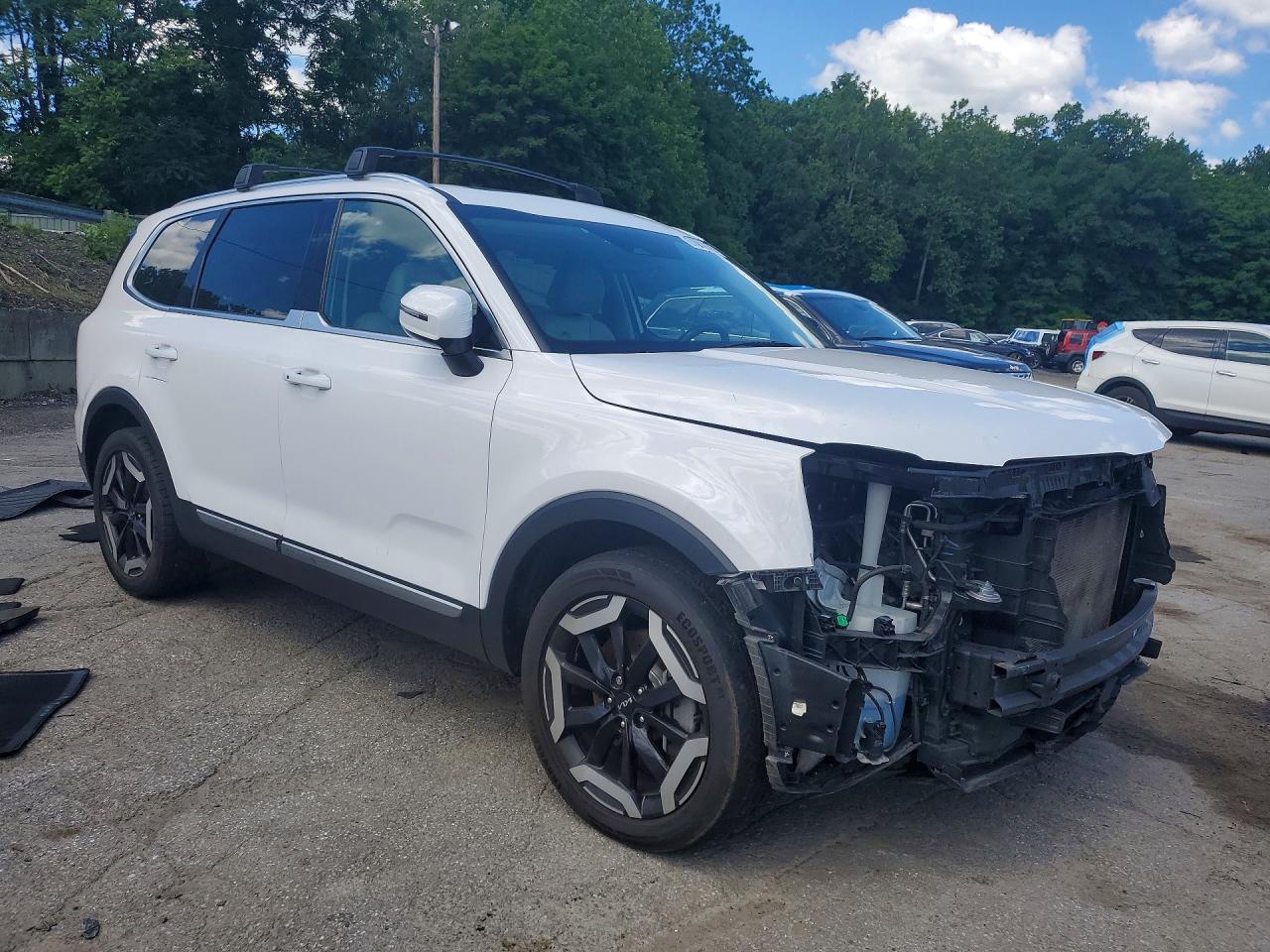 5XYP34GC1RG439261 · 2024 KIA TELLURIDE · 4/13