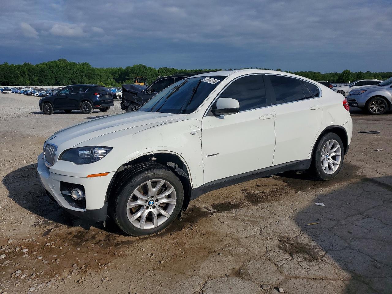 5UXFG8C55BLZ95273 · 2011 BMW X6