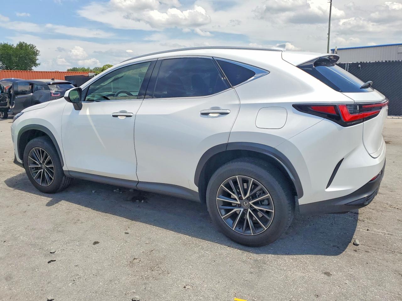 JTJADCAZ6R5014246 · 2024 LEXUS NX 250 · 2/13