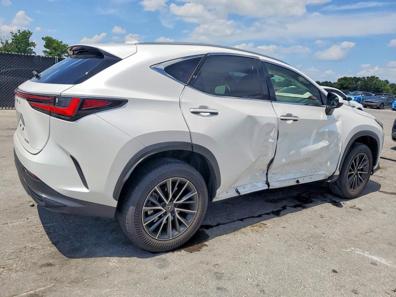 JTJADCAZ6R5014246 · 2024 LEXUS NX 250 · 3/13