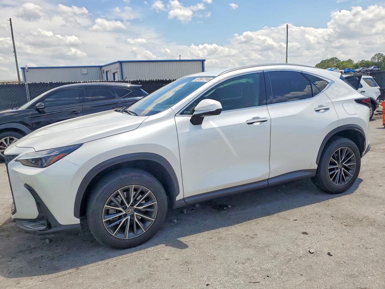 2024 LEXUS NX 250