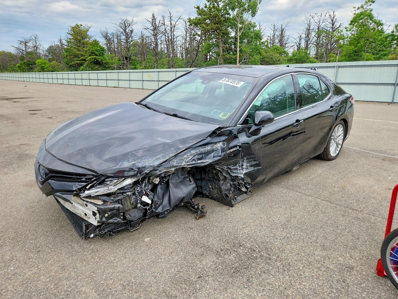 4T1B21HK5KU515677 · 2019 TOYOTA CAMRY HYBRID