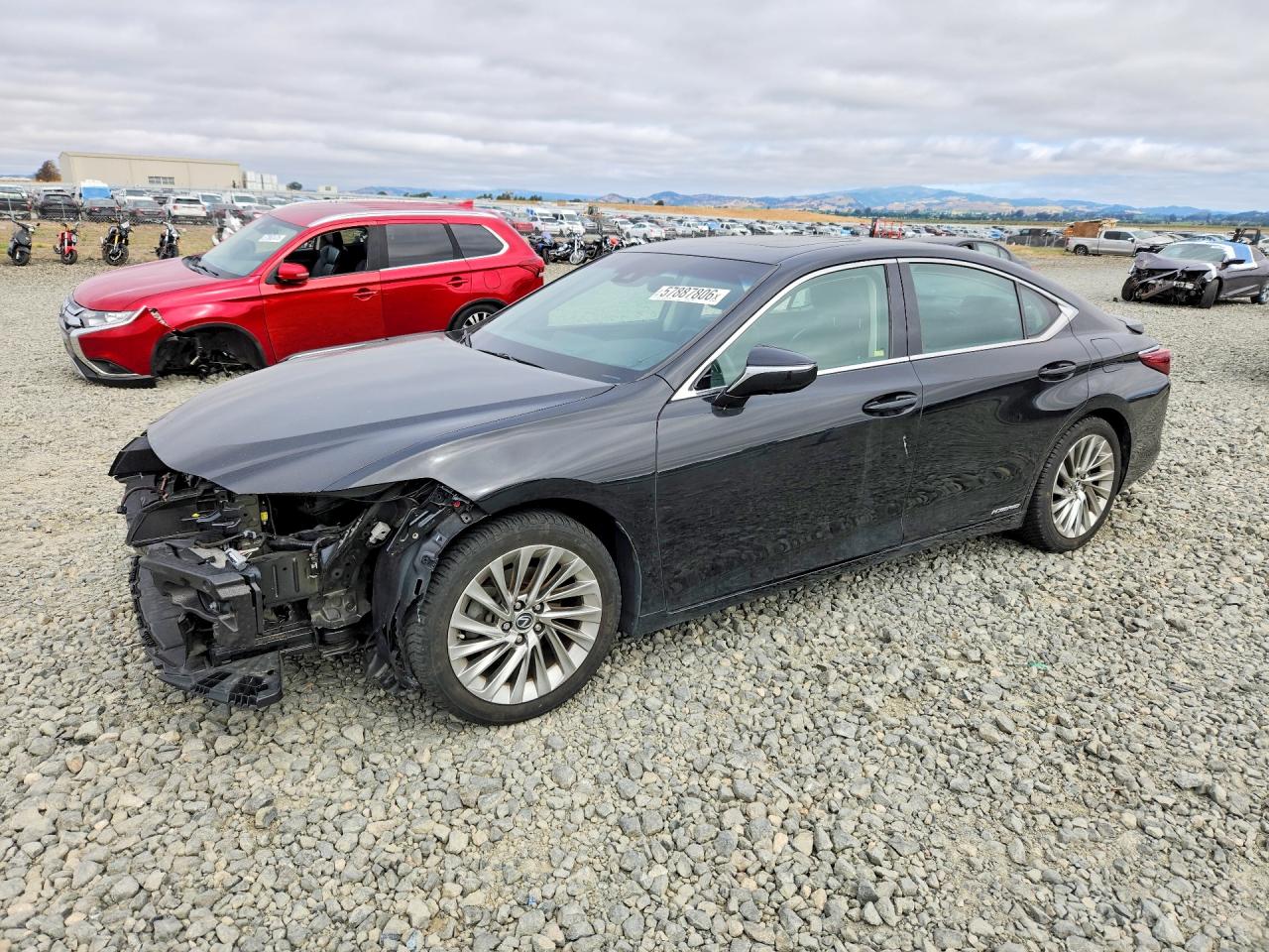 58AB21B16KU001362 · 2019 LEXUS ES