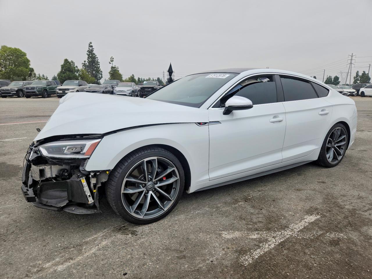 WAUB4CF55KA090838 · 2019 AUDI S5