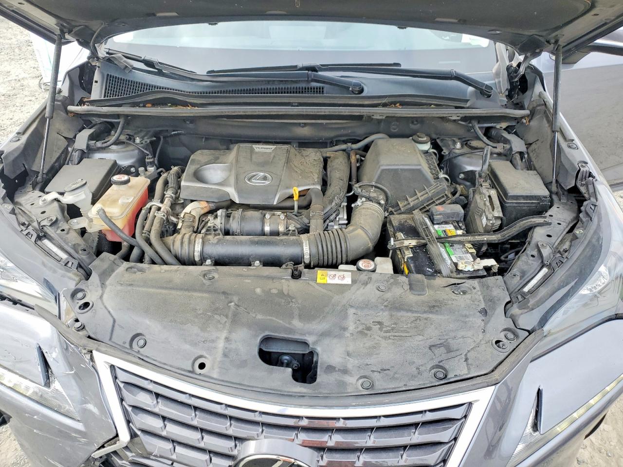JTJYARBZ9J2101900 · 2018 LEXUS NX 300 · 12/13