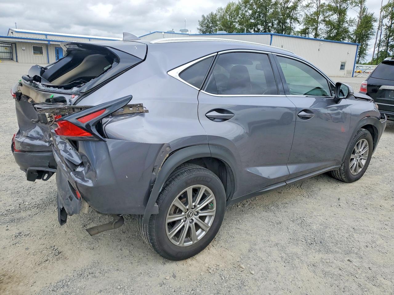 JTJYARBZ9J2101900 · 2018 LEXUS NX 300 · 3/13